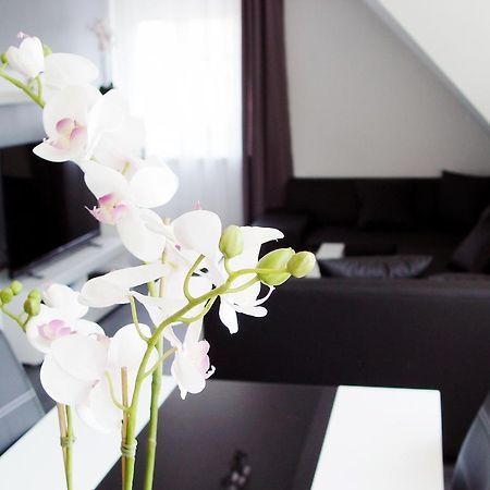 Appartamento La Domus Premium Lotte Osnabrück Esterno foto