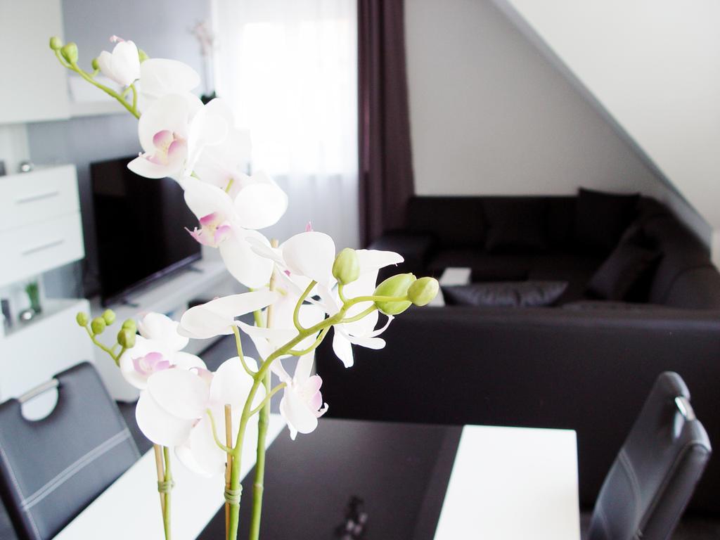 Appartamento La Domus Premium Lotte Osnabrück Esterno foto