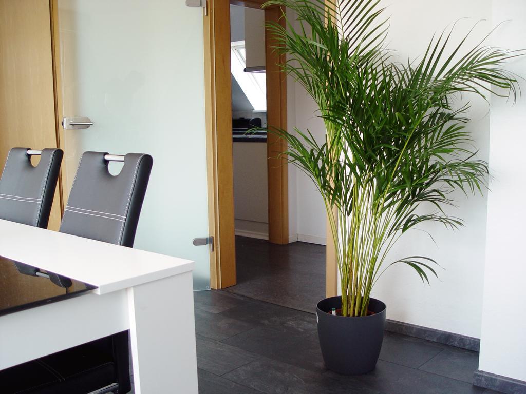 Appartamento La Domus Premium Lotte Osnabrück Esterno foto